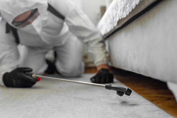 Professional Bed Bug Control technician working in Uhrichsville, OH