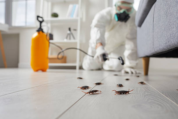 Trusted Cockroach Control service in Uhrichsville, OH - Nex Pest Control