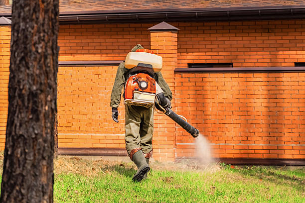 Trusted Emergency Pest Control service in Uhrichsville, OH - Nex Pest Control